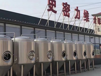 宁夏精酿啤酒设备厂—如何判断精酿啤酒设备的密封件需要更换？
